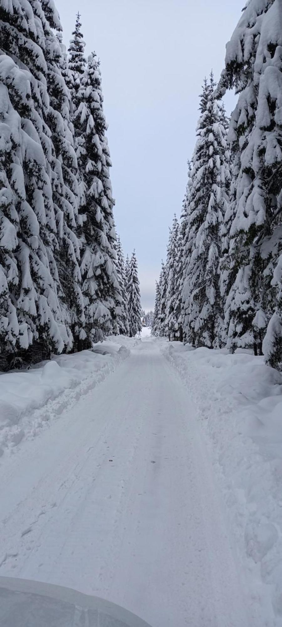Monte Zen Villa Žabljak Buitenkant foto