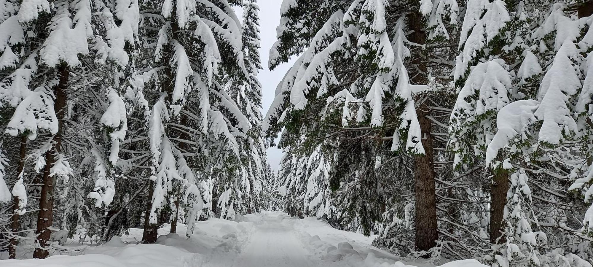 Monte Zen Villa Žabljak Buitenkant foto