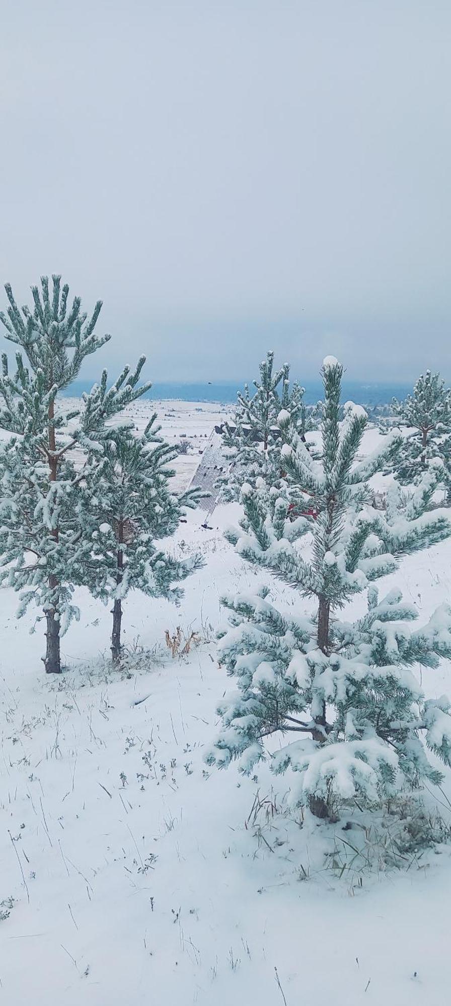 Monte Zen Villa Žabljak Buitenkant foto
