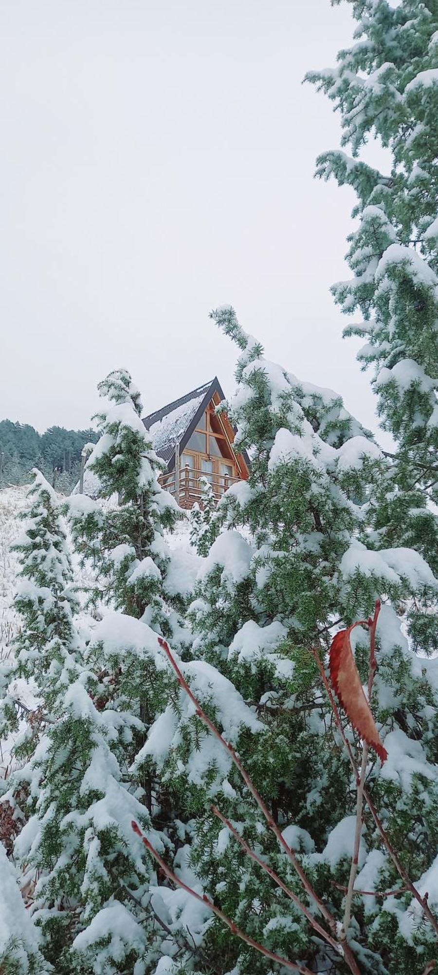 Monte Zen Villa Žabljak Buitenkant foto