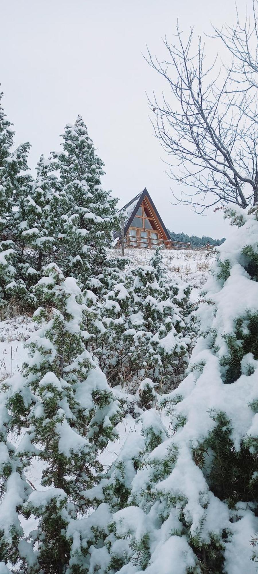 Monte Zen Villa Žabljak Buitenkant foto
