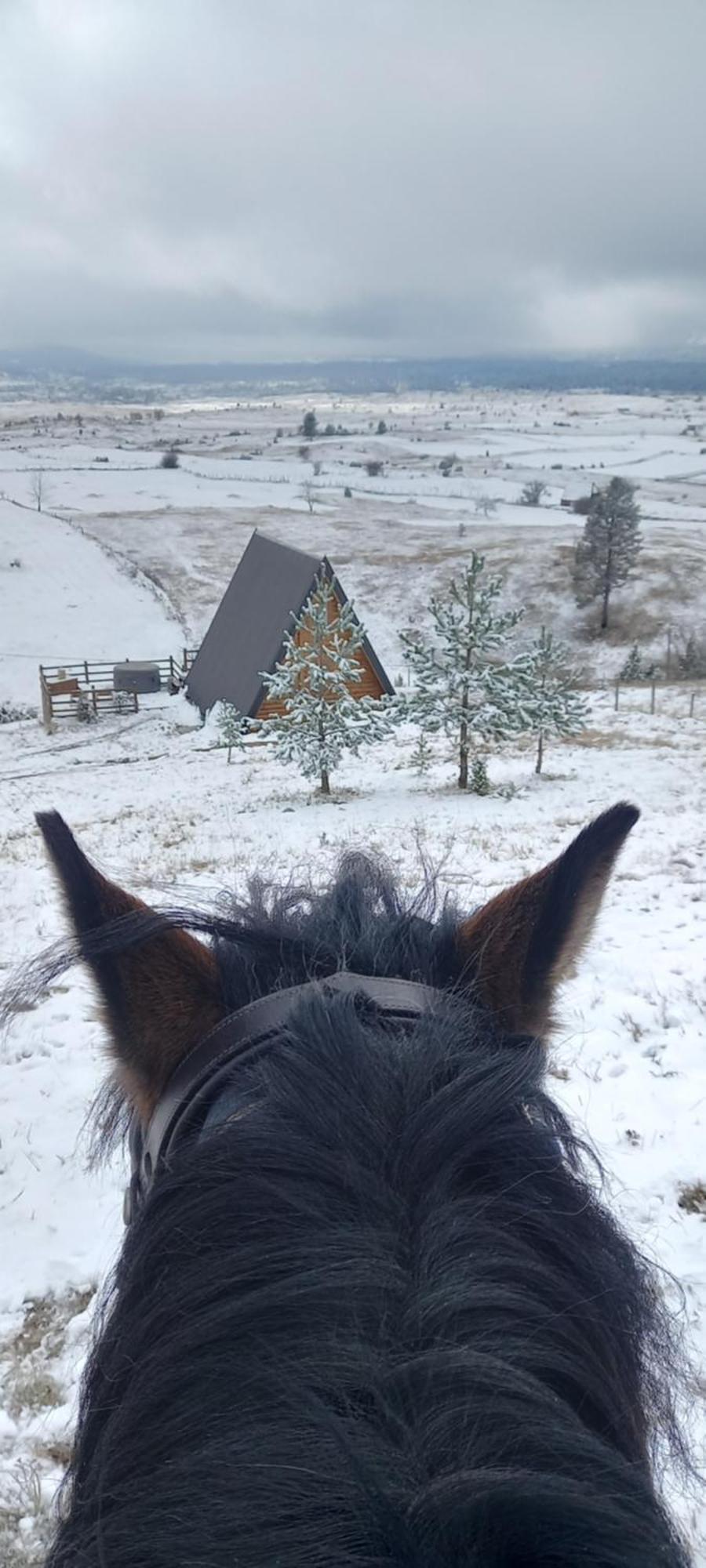 Monte Zen Villa Žabljak Buitenkant foto