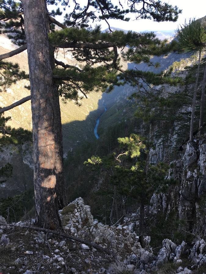 Monte Zen Villa Žabljak Buitenkant foto